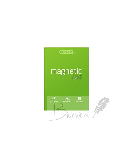 Magnetiniai lapeliai TESLA AMAZING A4 žali, 50 lapų