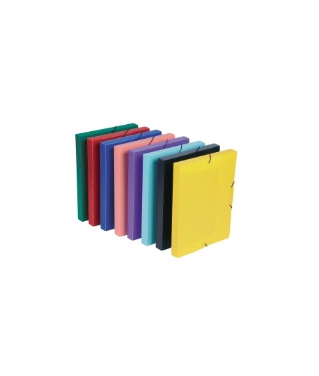 Plastikinis dėklas- dėžutė dokumentams VIQUEL Standart A4, su gumelėmis