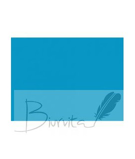 Kartonas spalvotas PROTOS, A3, 20l. mėlynas (niebieski)